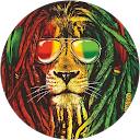 Enzo du77 (enzo77120) profile picture